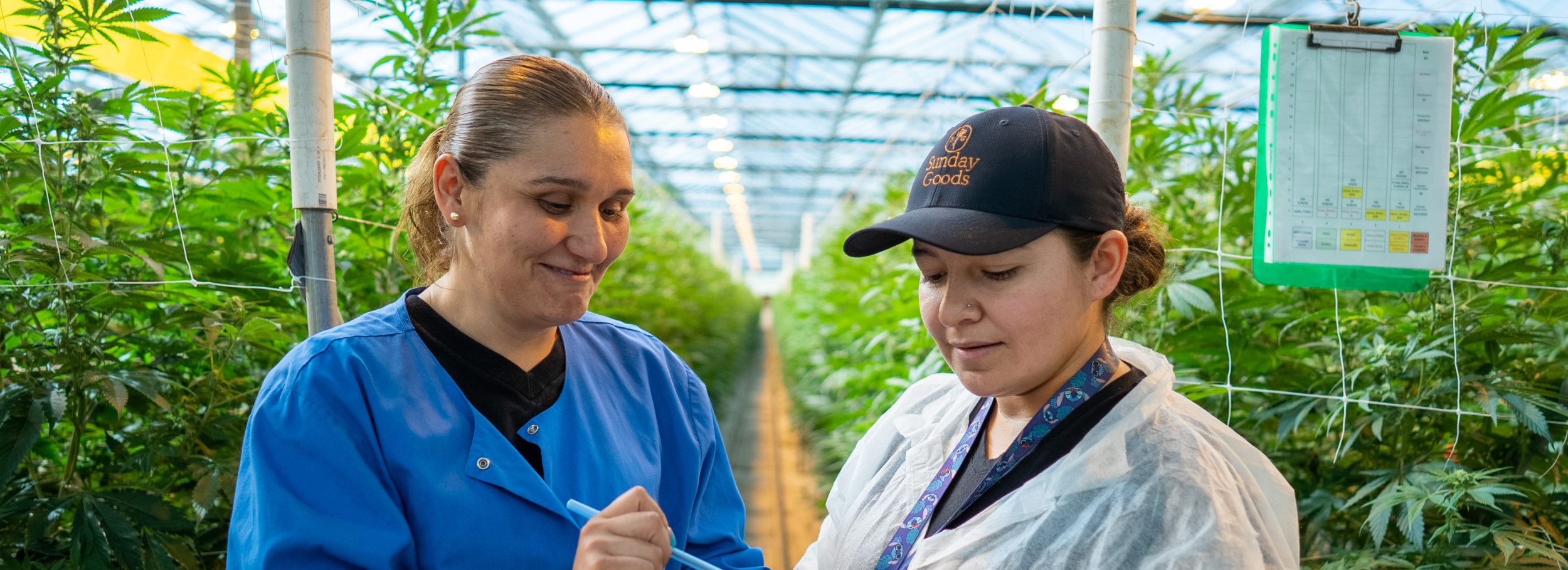 Two women working in a greenhouse